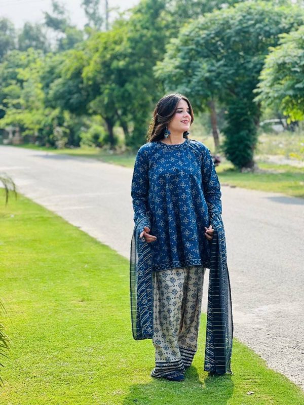 3 piece stitched suit for women