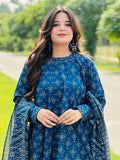 3 piece stitched suit for women